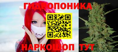 дмт Белореченск